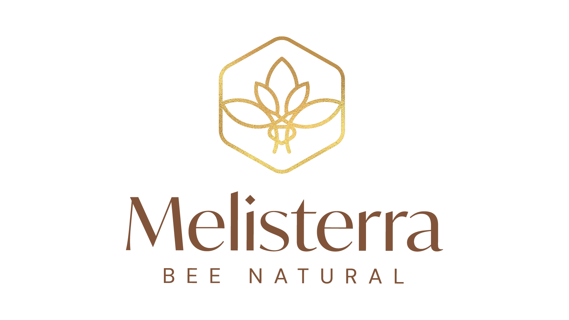 Melisterra-logo-positivo (1)